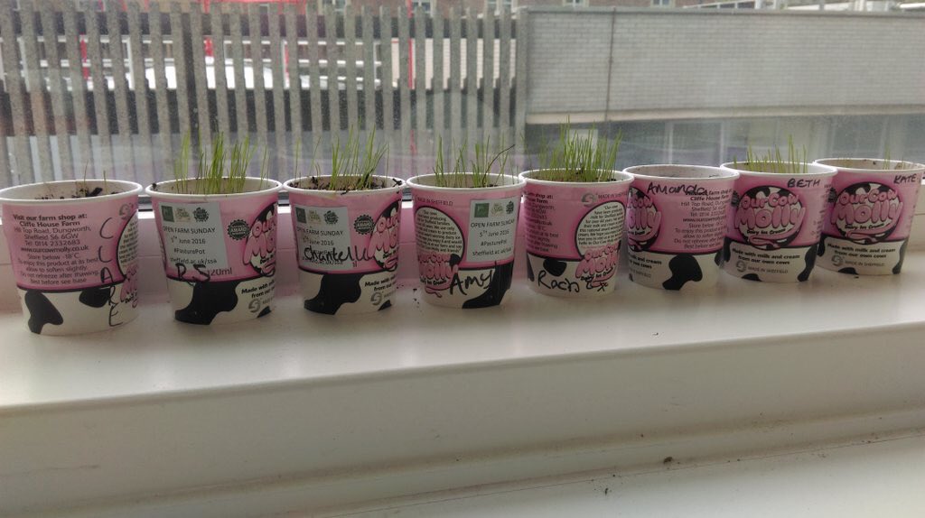OurCowMolly's tweet photo. @WT_Darren @MyPawIsStuck @WoodlandTrust @oxfordfarming @NFUtweets @CLAtweets @SoilAssociation @tenantfarmers @chesshire_helen As @OpenFarmSunday is such a phenomenal success & farmers have loads of land & clearly lots of them each year enjoy welcoming the public in their thousands to visit why not talk to @LEAF_Farming @LEAFchief & have a national day of planting on farms ?
Search #pasturepot it was fab https://t.co/Zz4VxeEdT1