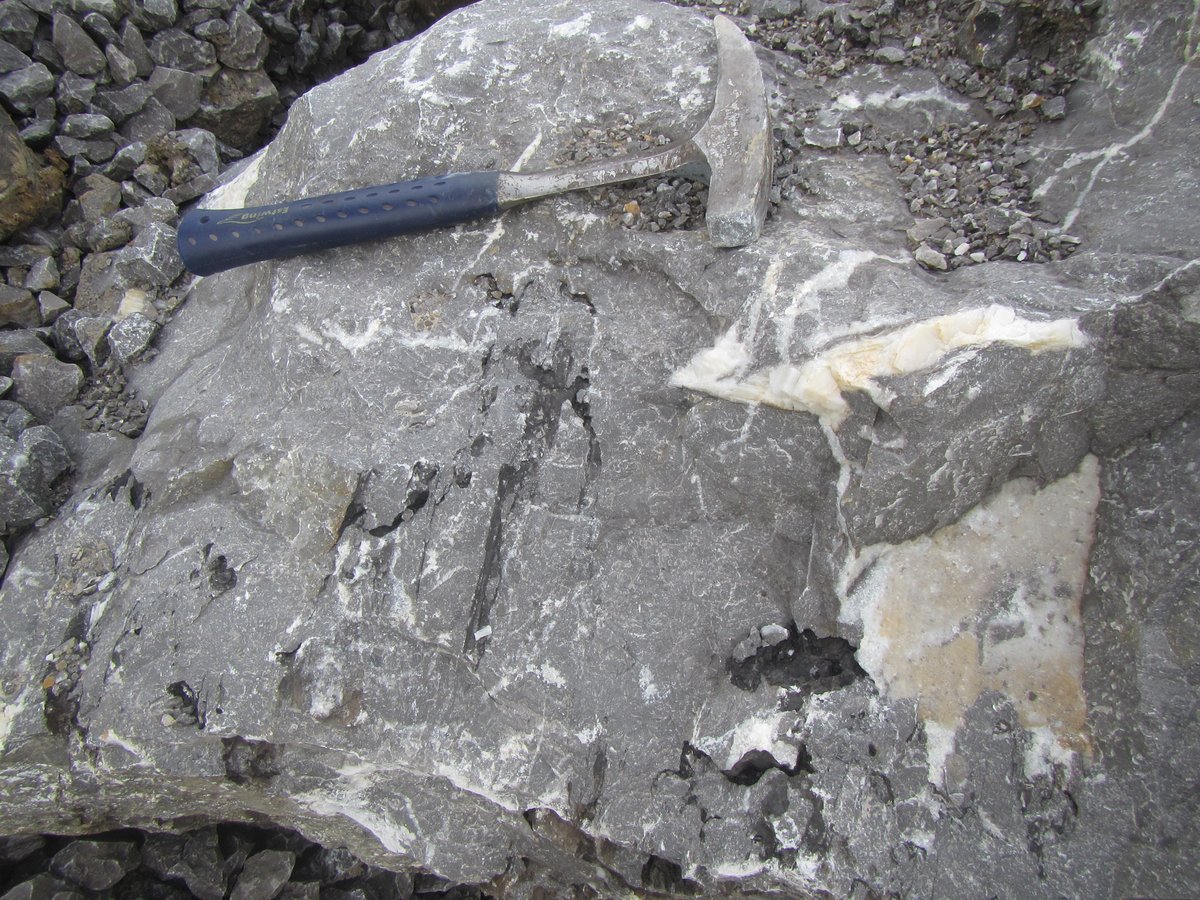 GoolaertsStijn's tweet photo. Great weather today so first day of fieldwork of the year! Looking for styloliths, calcite veins and their cross-cutting relationships in the Belgian Devonian @RBINSmuseum teaming up with @KU_Leuven #fieldwork #geologistsatwork https://t.co/rJlo90RyhL