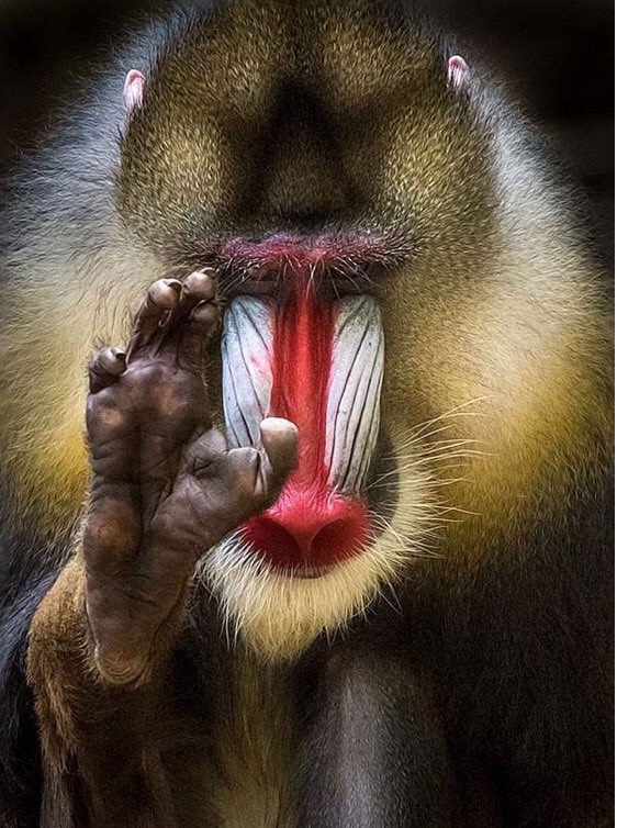 ArtPlusTechs's tweet image. 