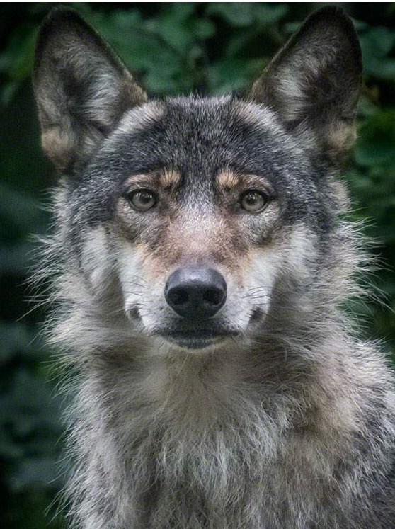 ArtPlusTechs's tweet image. 