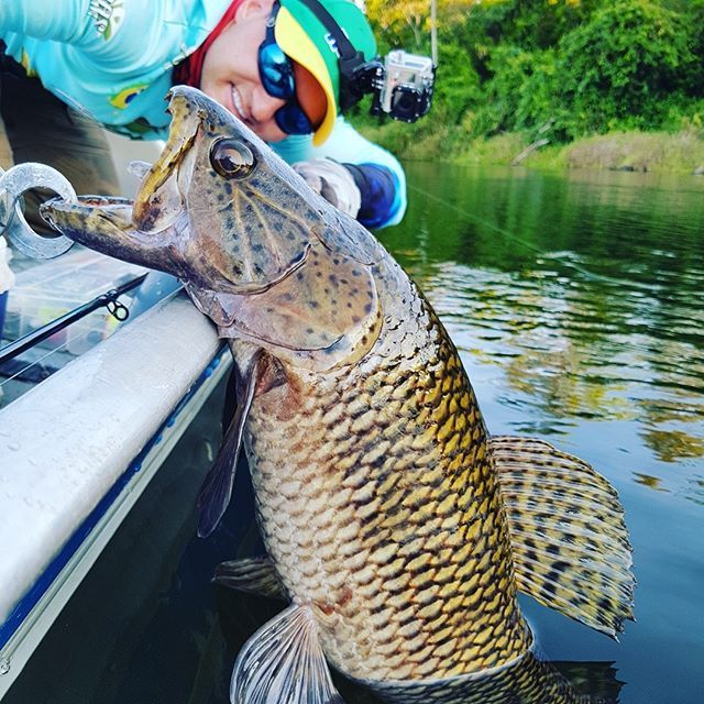 IsolatedOutdoor's tweet photo. Nice landing of this fish not sure what it is? 👍 
#fishing #fish https://t.co/reiVOrMoxv