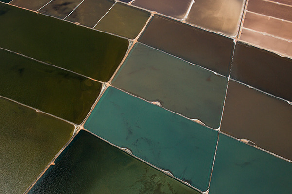 archillect's tweet image. 