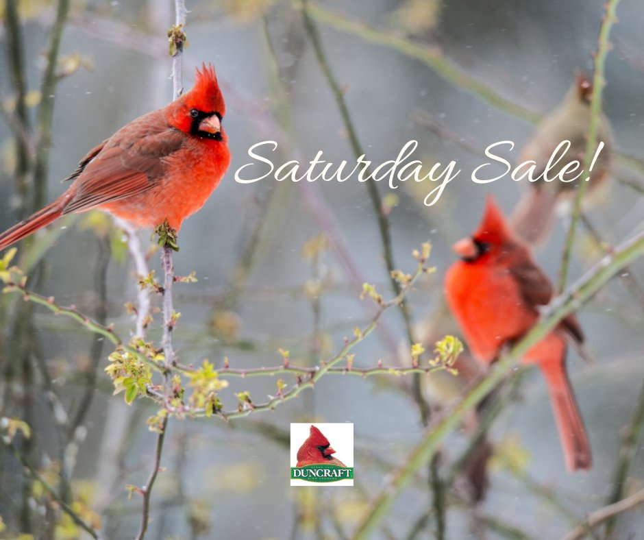 duncraft's tweet photo. Attract more birds to your yard, starting now.
❄️ Provide seed, suet and shelter. ❄️
Save up to 20% off Duncraft bird feeders, seed, suet and more today at https://t.co/KbqUTJpfO7 While supplies last.
#DuncraftBirdFeeders #BackyardBirdFeeding #SaturdaySale https://t.co/L4kZpbczzL