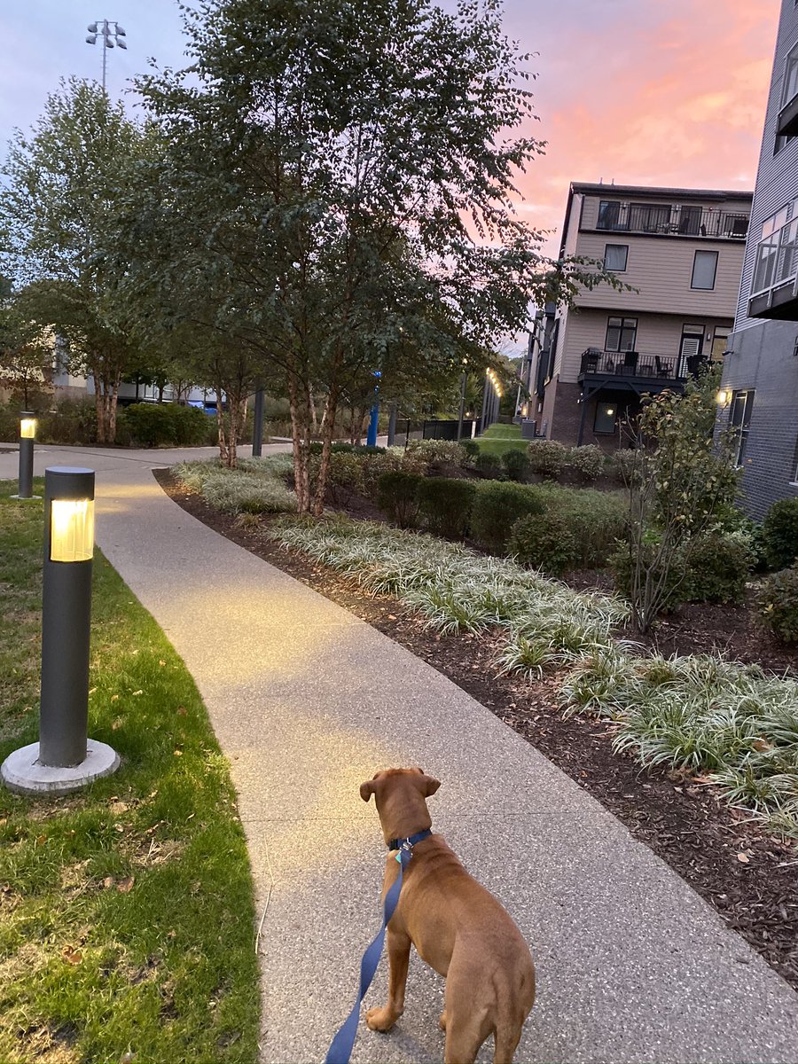 #7PhotosOfMyLife Day 3/7. No people, no filters, no explanations. One per day. Nominated by <a href="/shan_hald/">shannon</a>. Today I nominate <a href="/DrRamiMorsi/">Rami Z. Morsi, MD</a>