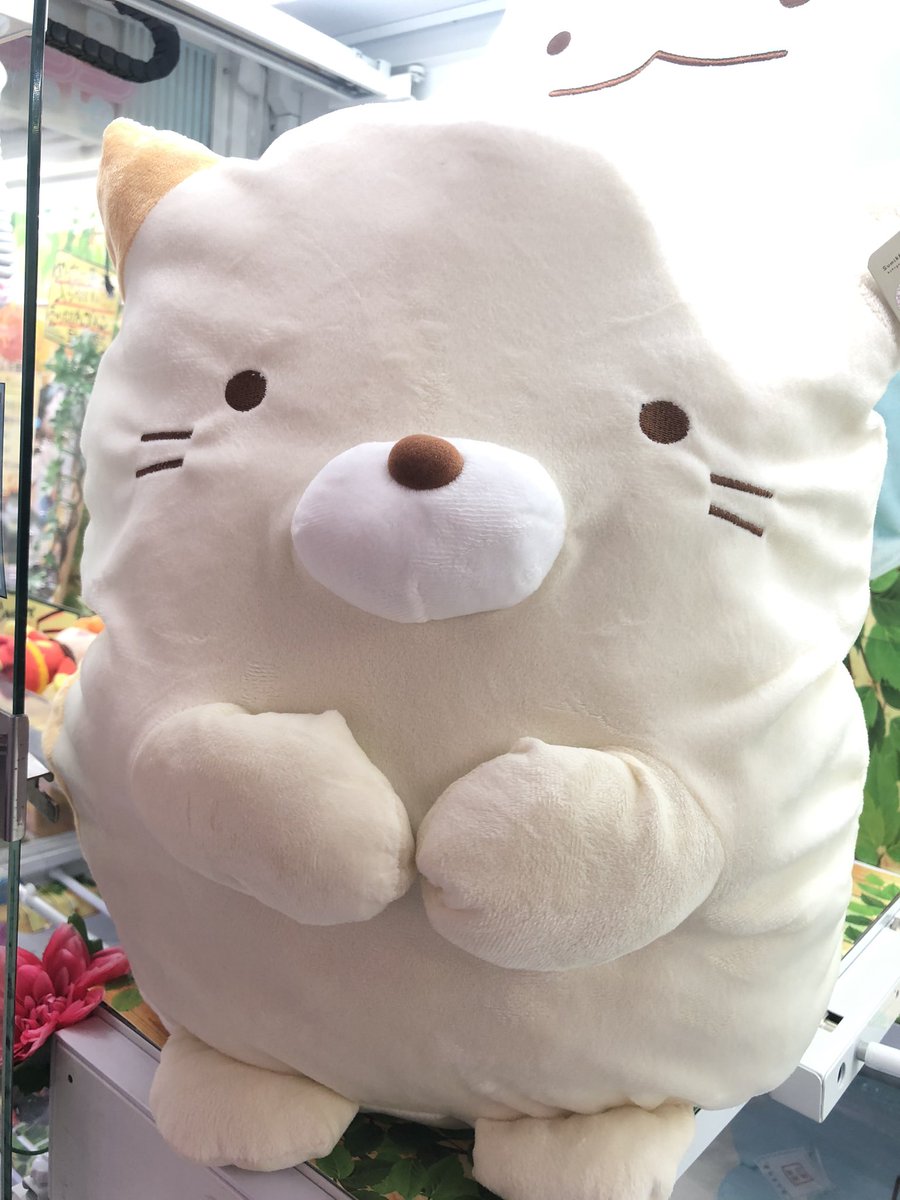 マンガ倉庫日向店アミューズ בטוויטר Bigサイズ すみっコぐらし 超特大ぬいぐるみ 全3種入荷しましたー めっちゃでかい 男性スタッフが持ってこのサイズ 1枚目 ねこ とかげ しろくま の3匹です すみっコぐらし すみっコ すみっコぐらしに願いを マンガ倉庫日向店アミューズ בטוויטר Bigサイズ すみっコぐらし 超特大ぬいぐるみ 全3種入荷しましたー めっちゃでかい 男性スタッフが持ってこのサイズ 1枚目 ねこ とかげ しろくま の3匹です すみっコぐらし すみっコ すみっコぐらしに願いを