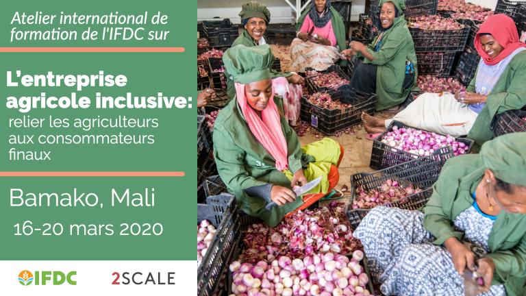 IFDCTraining's tweet image. " L'inscription continue. Les créneaux se remplissent pour l'atelier de formation IFDC / 2SCALE «Agribusiness inclusif : relier les agriculteurs aux consommateurs». La formation aura lieu du 16 au 20 mars 2020 à Bamako, au Mali. Réservez votre place dès aujourd'hui."