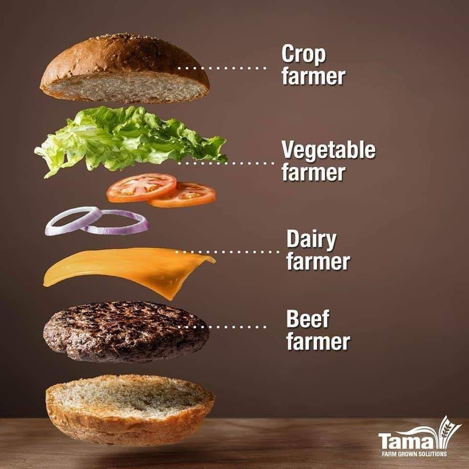 Texas Agriculture tweet media