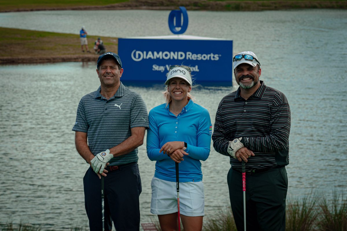 Tom Savino tweet media