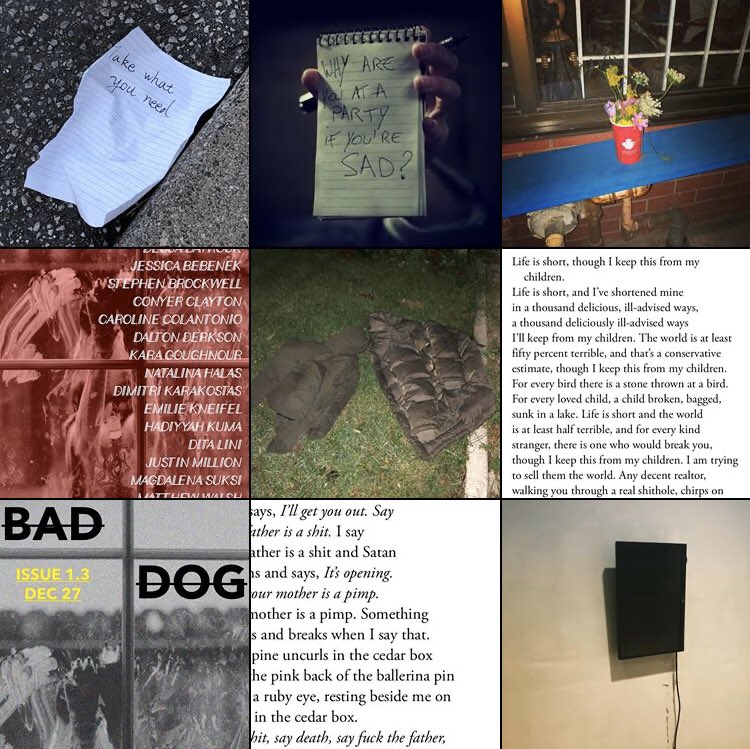 BAD DOG Mag tweet media