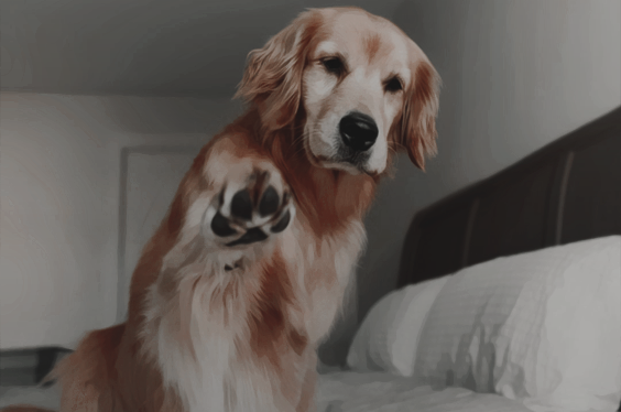 theirlostcause's tweet photo. ❝it's getting a little 𝑊𝑒𝑠𝑡 𝑆𝑖𝑑𝑒 𝑆𝑡𝑜𝑟𝑦 here and my dancing skills are not up to snuff.❞ https://t.co/0wlULLZ6zQ