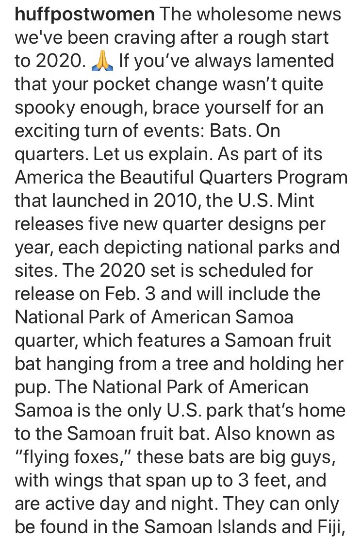 SheilaWanite17's tweet photo. 😯🤗😍 Speechless cuz I love this. My favourite bat! 🦇It’s a sign all around. Signs, signs, everywhere signs...
Life is Magical... 💯⚡️💫📇🖋📖💙💋
#2020NewYear #WriteEpic #EpicFantasySeries #Bats #FruitBats #Amwriting #TrueLove #EpicFantasy #DarkFantasy #GothicLiterature https://t.co/ckKrqOb27h