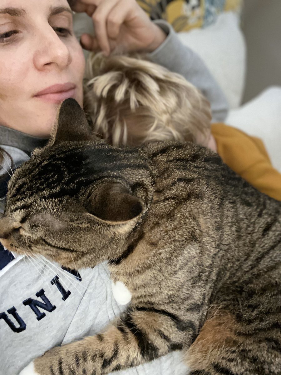 danilaserra_eco's tweet photo. Two of my boys are making it absolutely impossible for me to work on that referee report...#workingonweekend https://t.co/cqbVBRfyzG