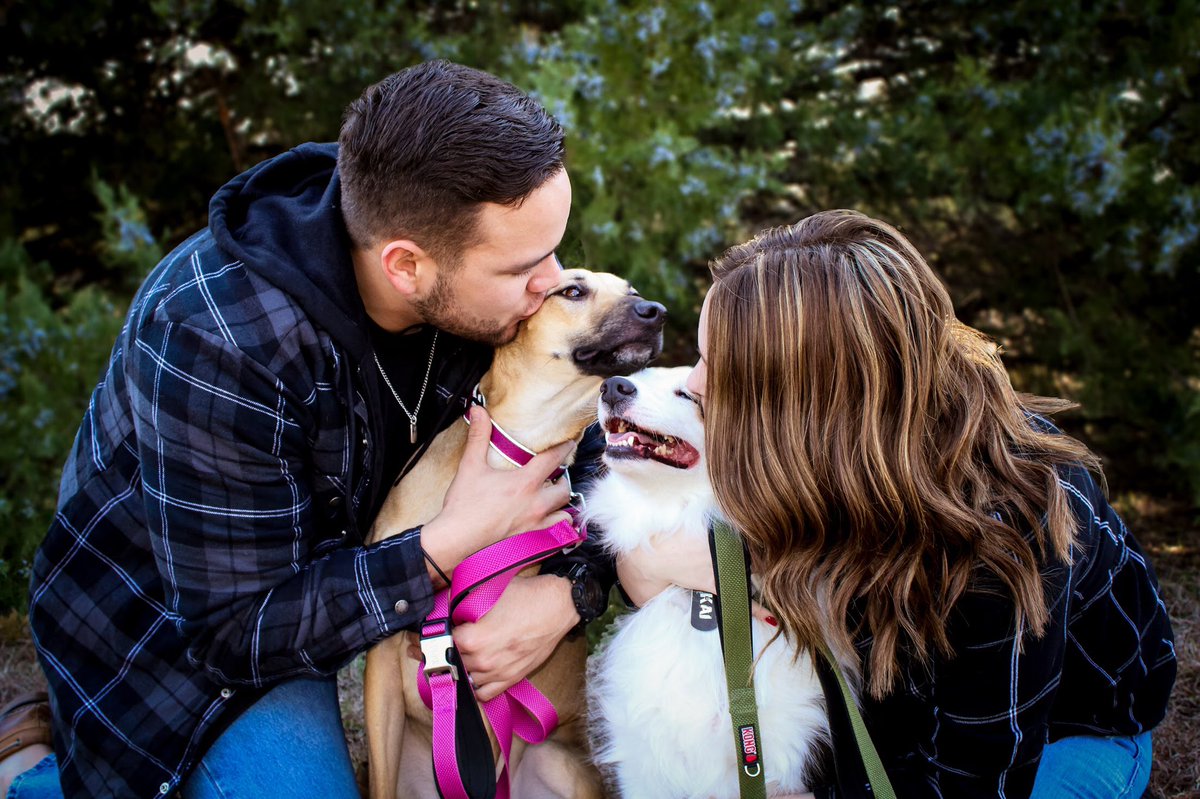 laurene1232's tweet photo. My sister, brother in law, and their doggos are the cutest!! Message me for a good deal on photos!!😍 https://t.co/tqrROVlga2