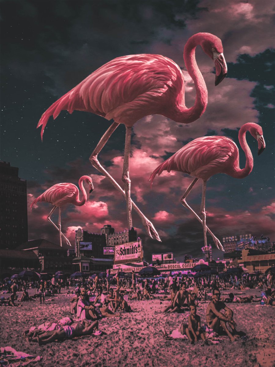 pixtract's tweet photo. Here's the link to my print store! 

Buy a poster starting at $19.99!

https://t.co/hNwKZ9OnD3 https://t.co/2vPUjBCvsp