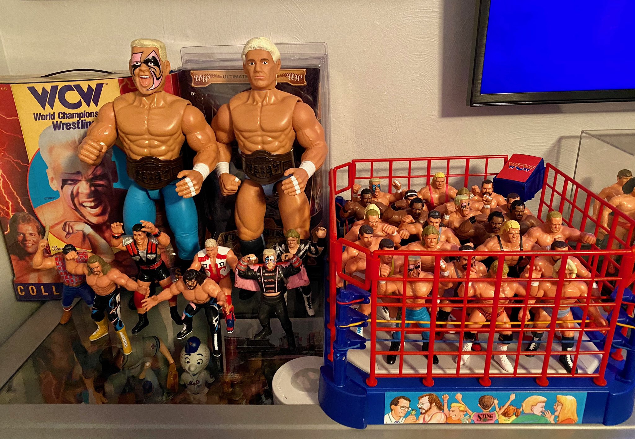 Custom wcw galoob figures sale