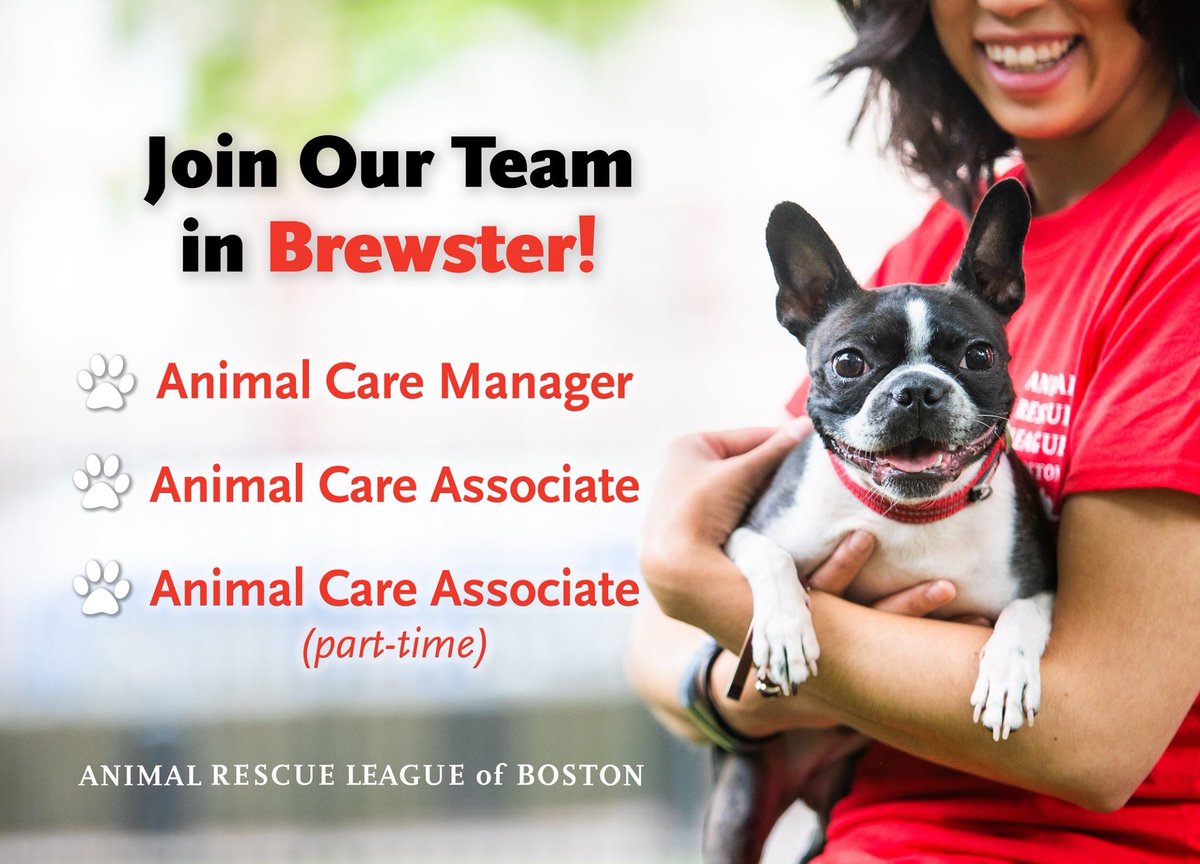 ARLBostonRescue's tweet photo. We are seeking motivated and compassionate individuals with a passion for #animals and the people who care about them at our #CapeCod (Brewster) Location! For more information on these positions and how to apply, visit https://t.co/bTl0fPeP9Y #capecodjobs https://t.co/NDsQihO9th