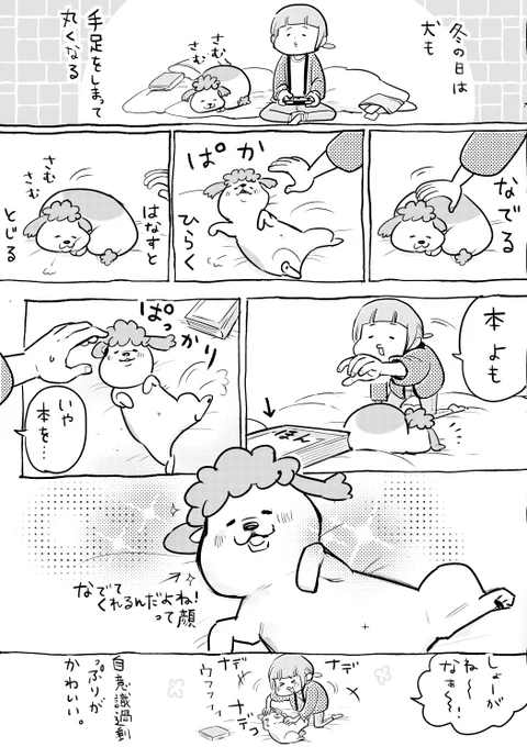 犬と猫どっちも飼ってると、ひらいたりとじたりで毎日たのしい。 