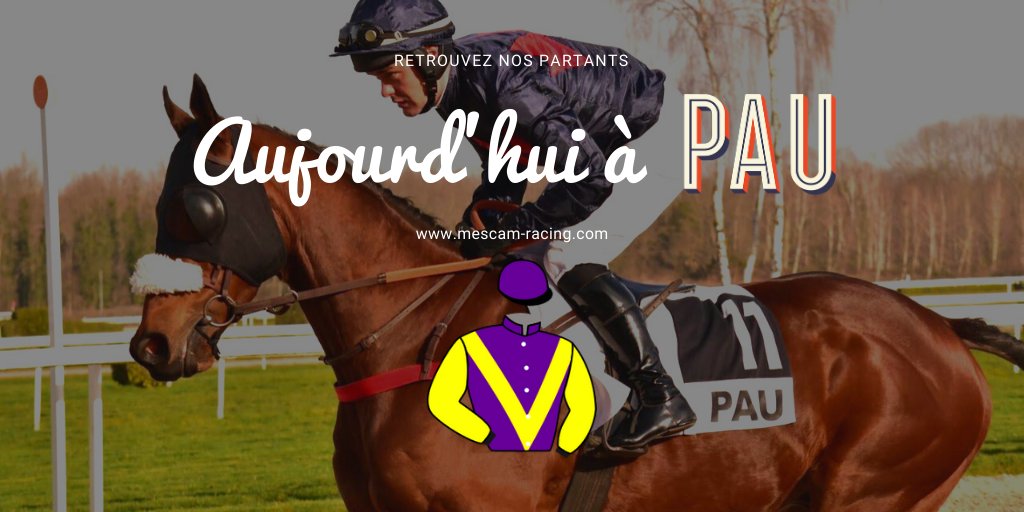 Mescam_Racing's tweet photo. A suivre aujourd'hui sur l'hippodrome de Pau :
🏇 Pinaclouddown (par Battle of Marengo) dans le prix Joseph de Gontaut-Biron à 13h10 (haies, 3500m) monté par Damien Mescam.
#courses #courseshippiques #hippisme #turf #cheval #partant #hippodrome #pau #meetingdhiver #obstacle https://t.co/pyrsaVxLuY