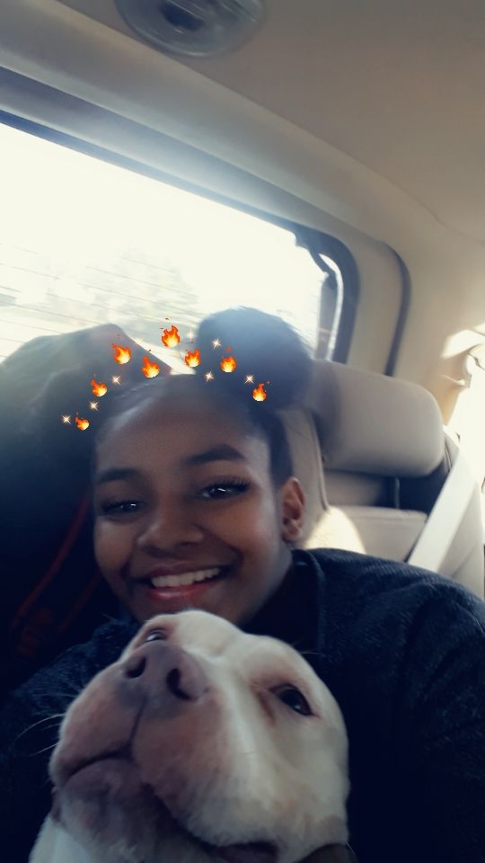 HopefullMonster's tweet image. Doggo photobombed it