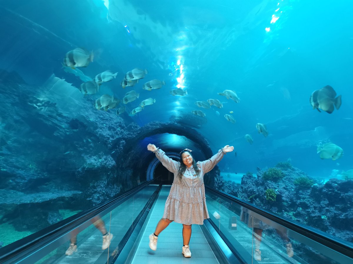 Annlenes's tweet photo. National museum of marine biology and aquarium​ อควาเรียมที่สามารถค้างคืนได้​ นอนในอควาเรียมจริงๆ​ มีวิวเป็นปลาเล็กใหญ่ว่ายวนไปวนมา​ ตื่นขึ้นมากลางดึกก็คือเกิดคำถามว่า​ กูอยู่ที่ไหนวะ​ 55555​ ส่วนตัวคืออินอควาเรียมอยู่แล้ว​ เลยชอบมาก​ #รีวิวไต้หวัน https://t.co/lYNIn5en3X