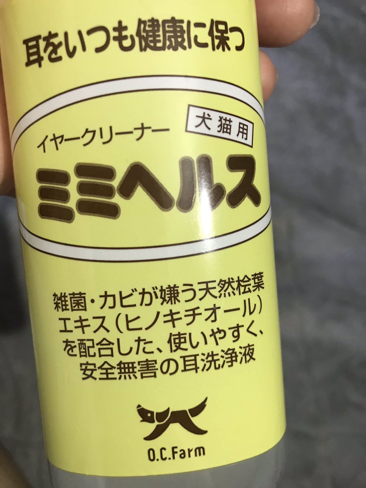 がるʕ ᴥ ʔ Ememmnmn Twitter