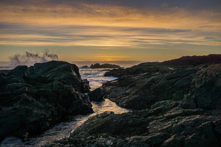 TourismUcluelet's tweet photo. Waves crashing by sunset.  
Is there any better way to end west coast winter's day?

.
.
.
#ucluelet #ukeebc #pnw #pnwonderland #exploremore #lifeofadventure #optoutside #keepitwild #beautifuldestinations  #explorevancouverisland  #seasidecanada #myucluelet
📷 @il.luminator https://t.co/7QLAVNmu6y