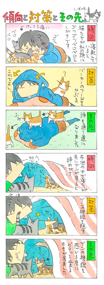 「ああやったら、こうなって」
…と思った通りにいかないのが、猫との暮らし。
だから、やっぱり面白い。
(久保智昭さんの「猫色スケッチブック」)他一枚更新しています。

⇒( 