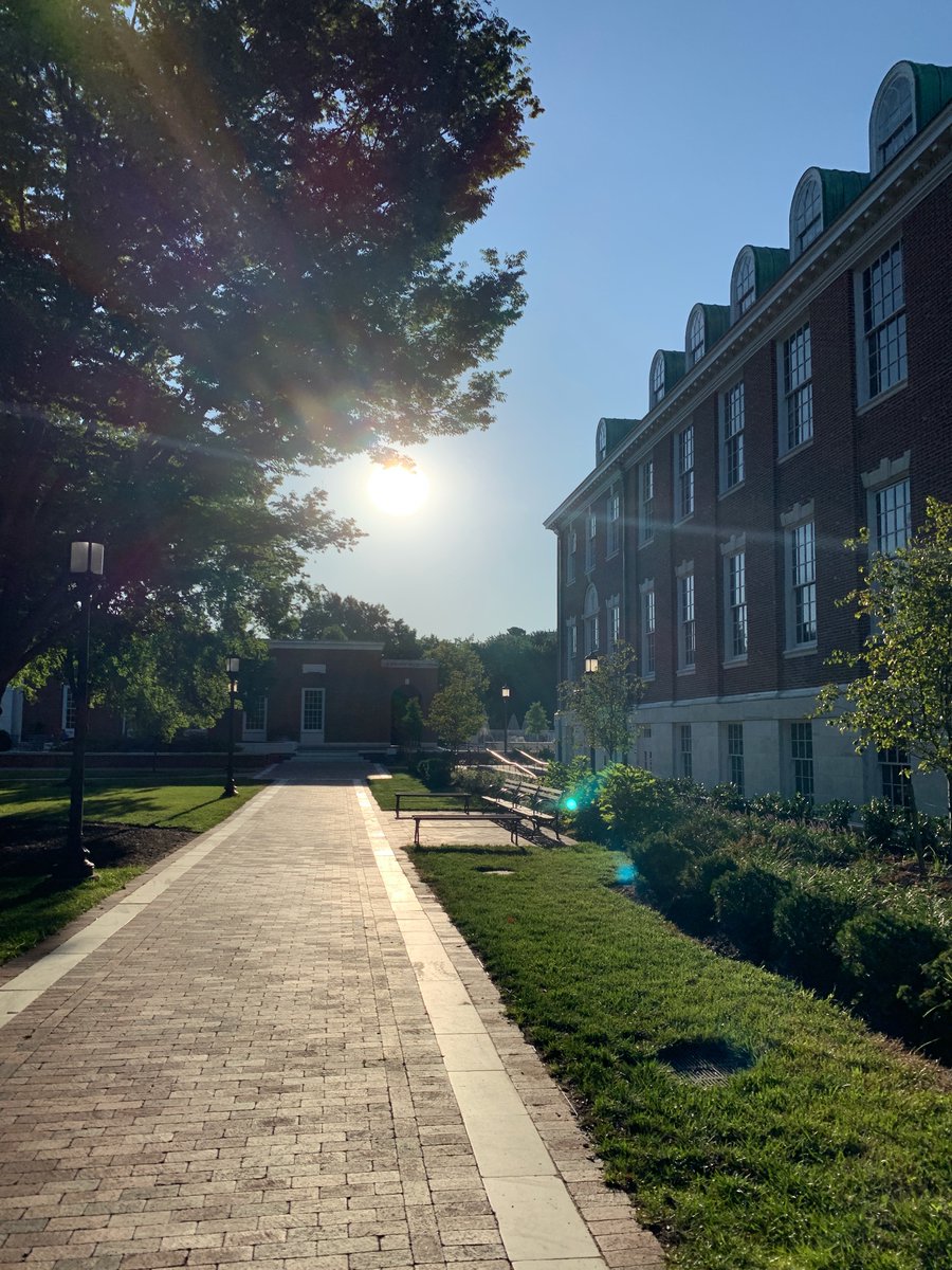 Denis Wirtz tweet media