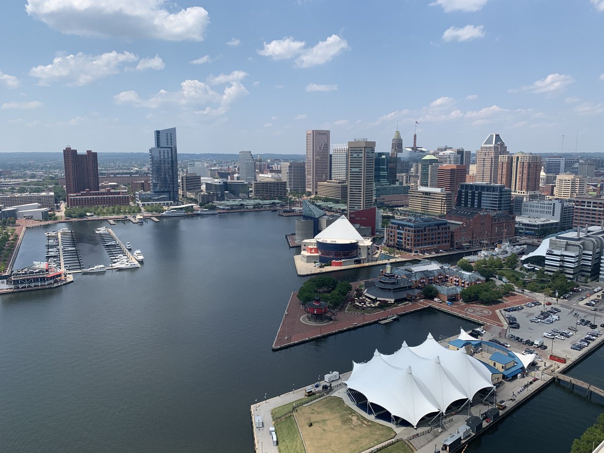 Denis Wirtz tweet media