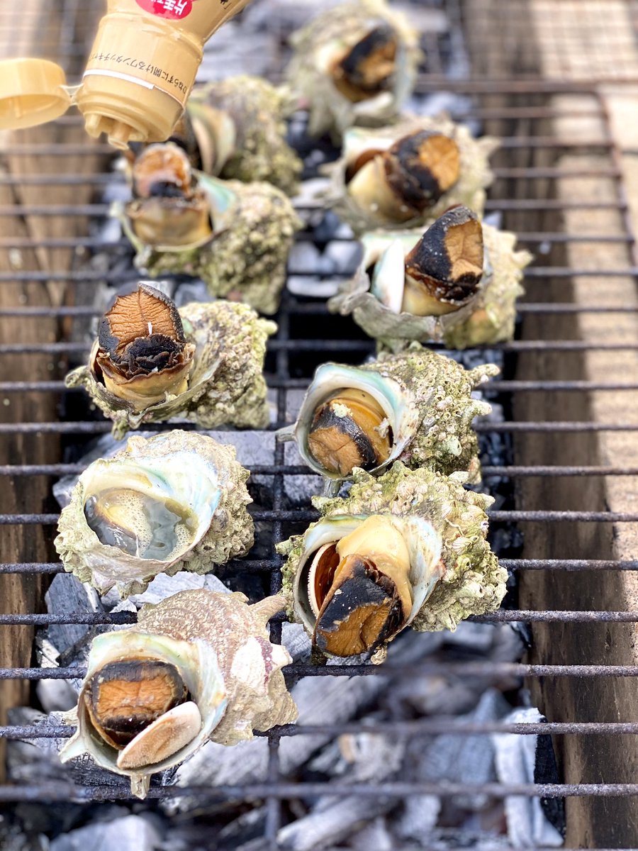 石川たくみ V Twitter 城ヶ島のサザエ最高 本日から城ヶ島水仙まつりスタート 三浦市城ヶ島 では 毎年1月上 中旬から2月中旬頃まで約70万株の八重水仙が咲き誇ります 県立城ヶ島公園から城ヶ島灯台付近までの水仙ロードでは甘い香りに包まれながら散策を楽しむこと