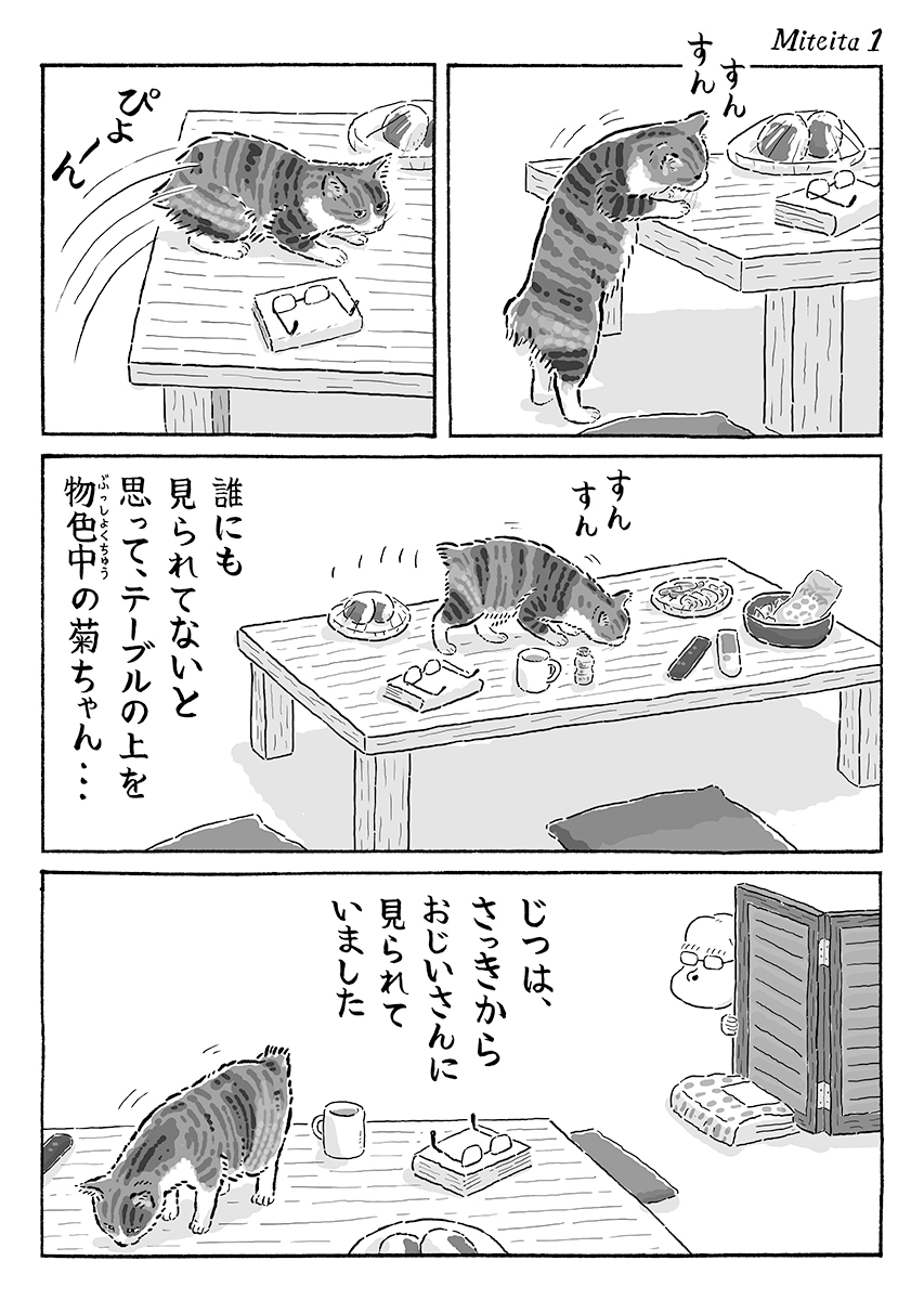 2ページ猫漫画「おじいさんは見ていた」 