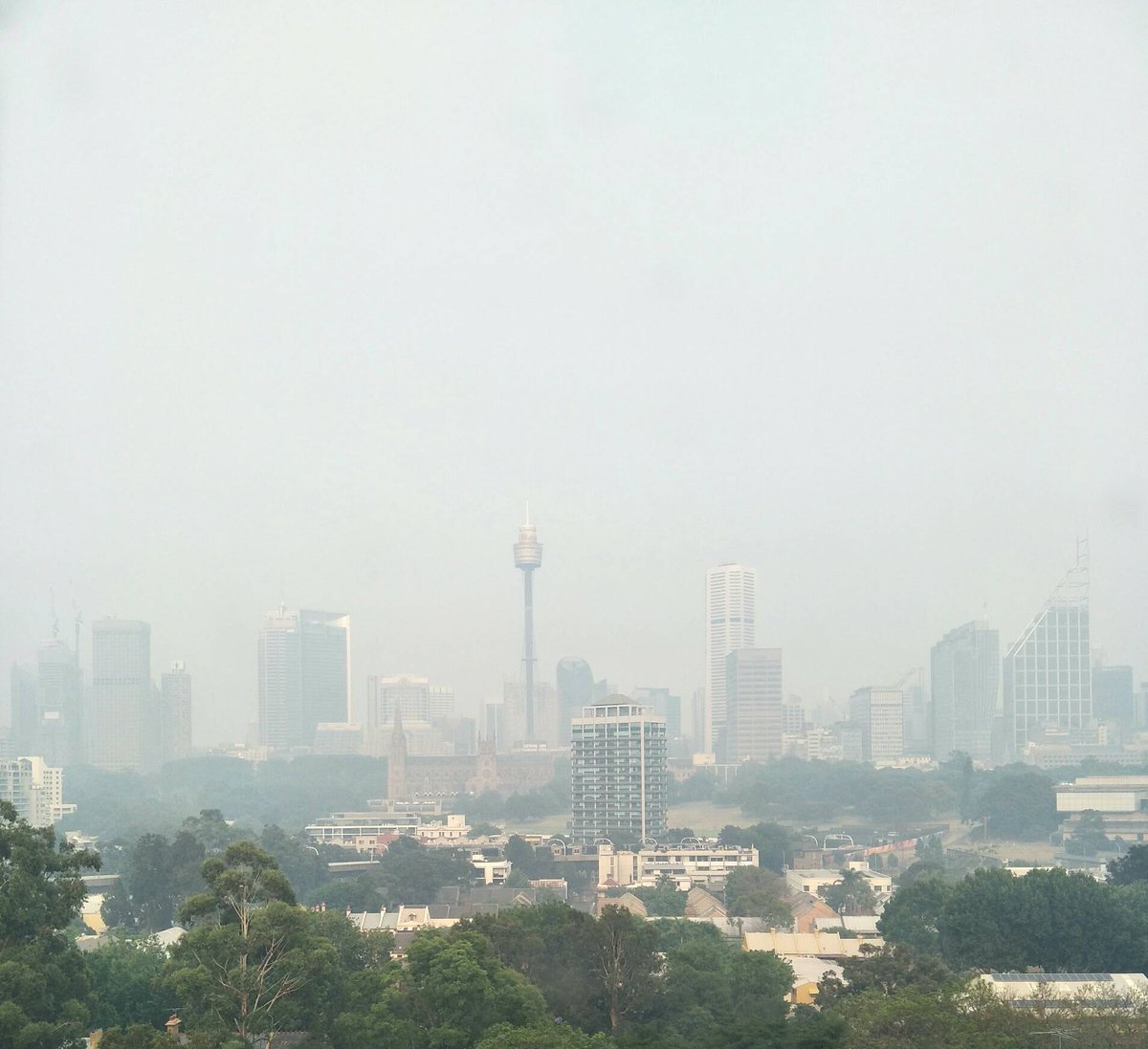 The smoke haze from #Australianfires has been suffocating us for months. We can't afford to open one of the world's largest thermal coal reserves! @Siemens, @JoeKaeser end your work with @Adani!  #Sydneysmoke #StopAdani