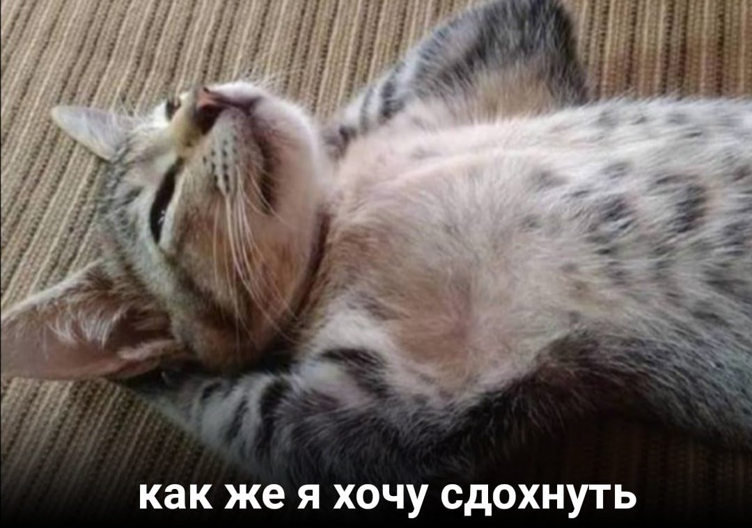 EOD1pr4WoAAe5Td?format=jpg&name=medium