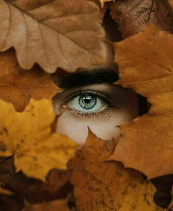 Betra5296's tweet photo. تركت لى رسالتها تقول :     أحببتها  ؟   لآ تجعلهآ تخاف منك 
بل اجعلها عندمآ تخآف  ....  تهرب من الجميع و تأتي إليك
أرسلت لها أقول  :  
عيناها  وطني   ...
فهل يرضيها أن  اعيش عمري منفي ..؟! https://t.co/ImXpFn0wna