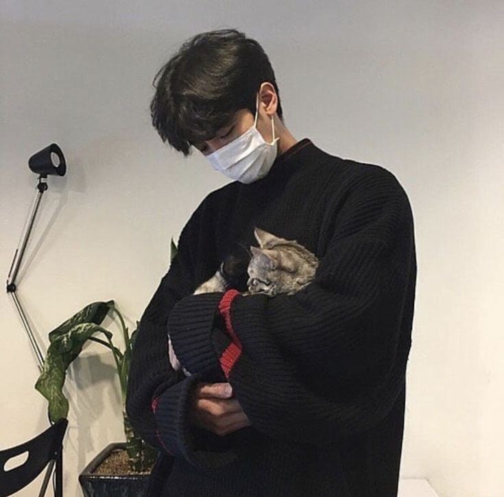 coco tweet media