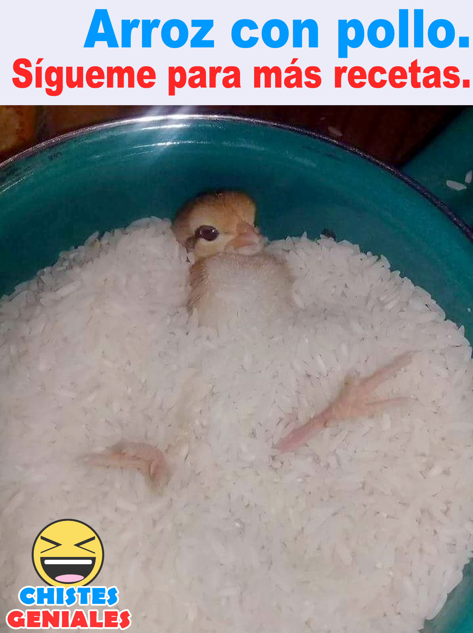Chistes Geniales on Twitter: Chistes Geniales on Twitter: