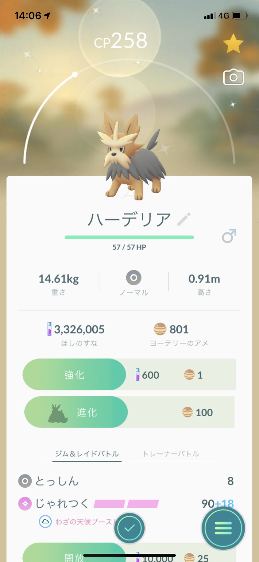 ポラリス Ar Twitter ポケモンgo 鶴舞公園でポケ活 色違いヨーテリー出ました 2匹目なので進化 ハーデリア ムーランド 息子が色違いメノクラゲget いいなぁ 持ってないので欲しいです ポケモンgo 鶴舞公園 色違い ヨーテリー ハーデリア ムーランド