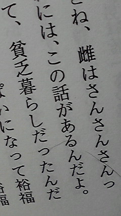 沖縄のほうだと蝉の鳴く音、「さんさん」だったりするんですの 