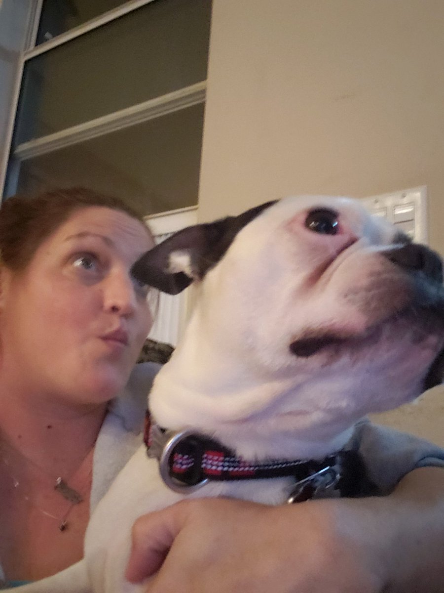 vexedangel44's tweet photo. @OfficialLivePD #LivePDDogNation My #RiggsRox usually watches with me, but tonight it's #K9Cat #PrincessSnow! Hey! Way 2 go #K9Evo! Donated 2 #K9LorStrong! There's no way 2 go wrong, when helping out our Babes in Blue, definitely the furry ones &amp; the humans too! Help us, help you! #LivePDPoetry https://t.co/EXurgccDtz