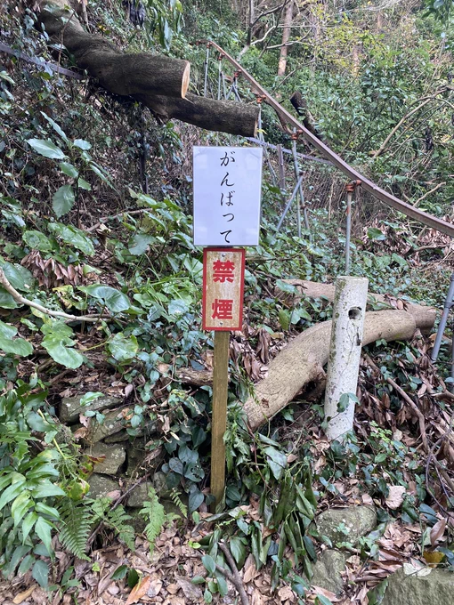がんばれよ     評価30 