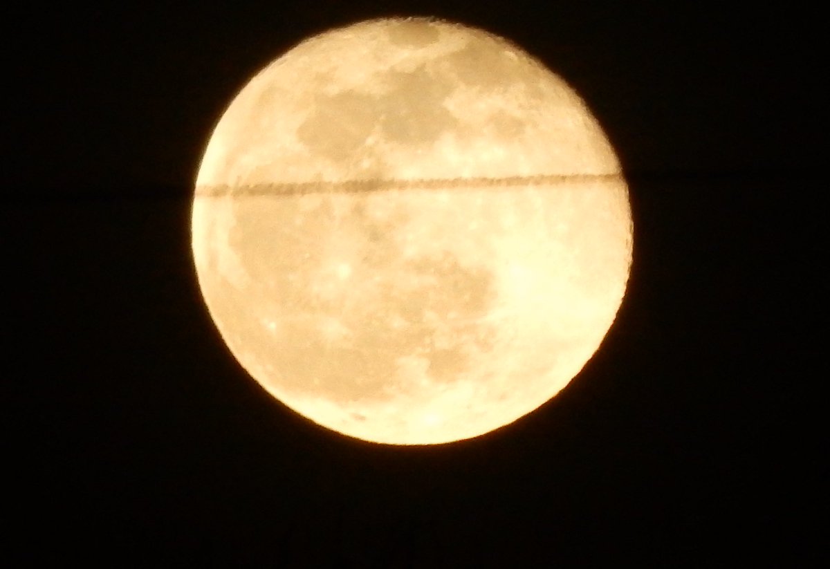 gracegauna777's tweet photo. In my many, many years of taking pictures of the Moon NEVER had I captured a plane flying by... and tonight It happened guys!!!! I’m so happy lol! 🤣😂 def. a night to remember 😍♥️ #moon #Januarymoon #plane #planeandmoon #wow https://t.co/niTRL4meEq
