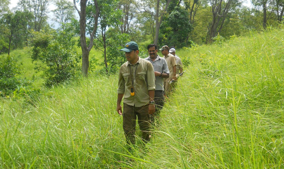 Saket_Badola's tweet photo. 'जो पुल बनाएँगे, वे अनिवार्यत: पीछे रह जाएँगे।
सेनाएँ हो जाएँगी पार, मारे जाएँगे रावण, जयी होंगे राम,
जो निर्माता रहे, इतिहास में बन्दर कहलाएँगे' (अज्ञेय)

So true for #GreenSoldiers, who live (and often die) to protect our planet, but fail to get the due appreciation from us.😢 https://t.co/OSvWanB5pr