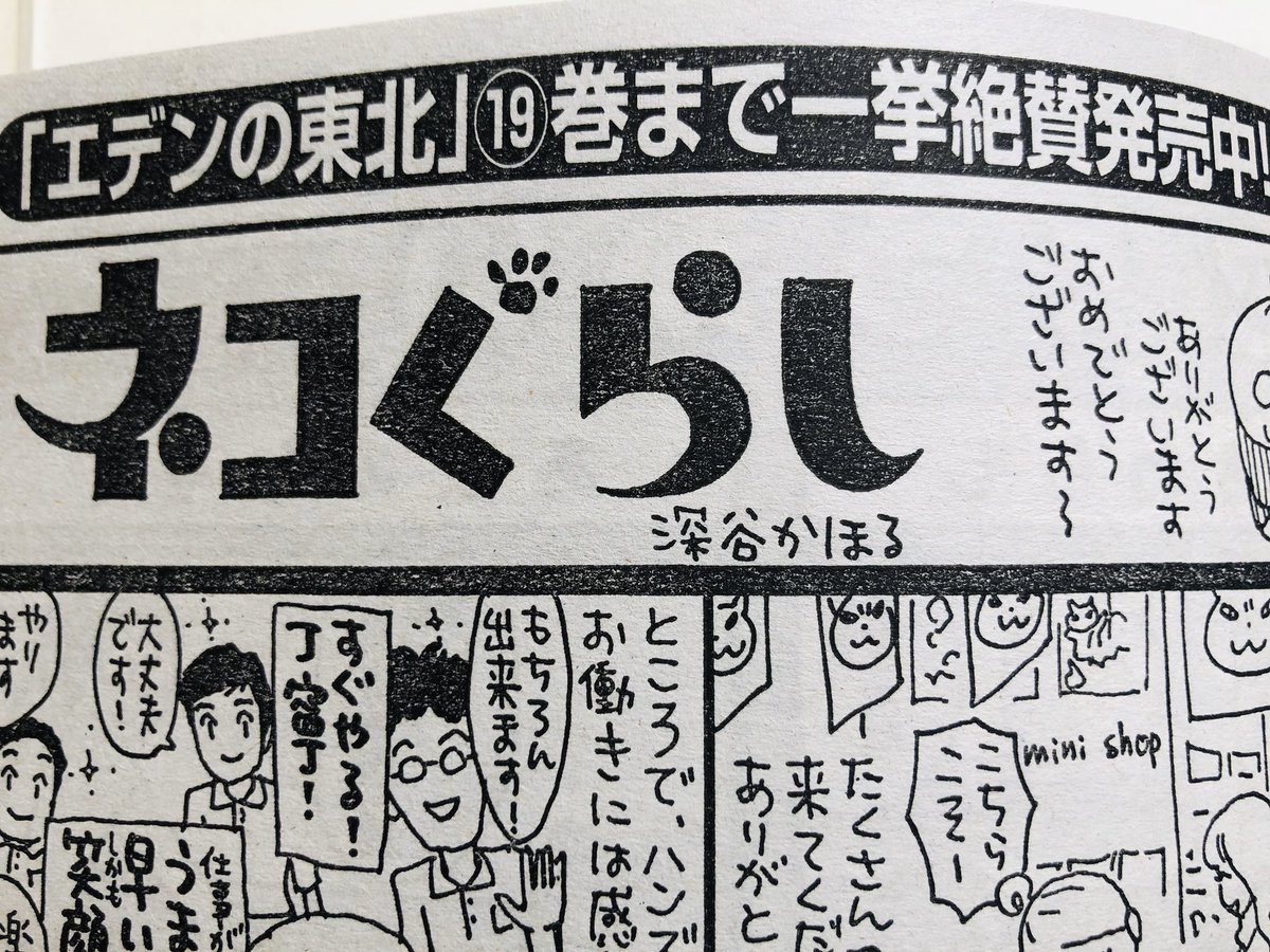 そして毎月11日は
まんがライフオリジナルの発売日。
私のネコぐらしは1枚だけなので
「1枚だけのために400円も出すのやだ〜」とのご意見もありますが

実は
他の漫画はもっと面白いのです、、!

全部面白いですが
個人的お勧めは
「とーこん家族」
「中年女子画報」

ライオリの回し者より 