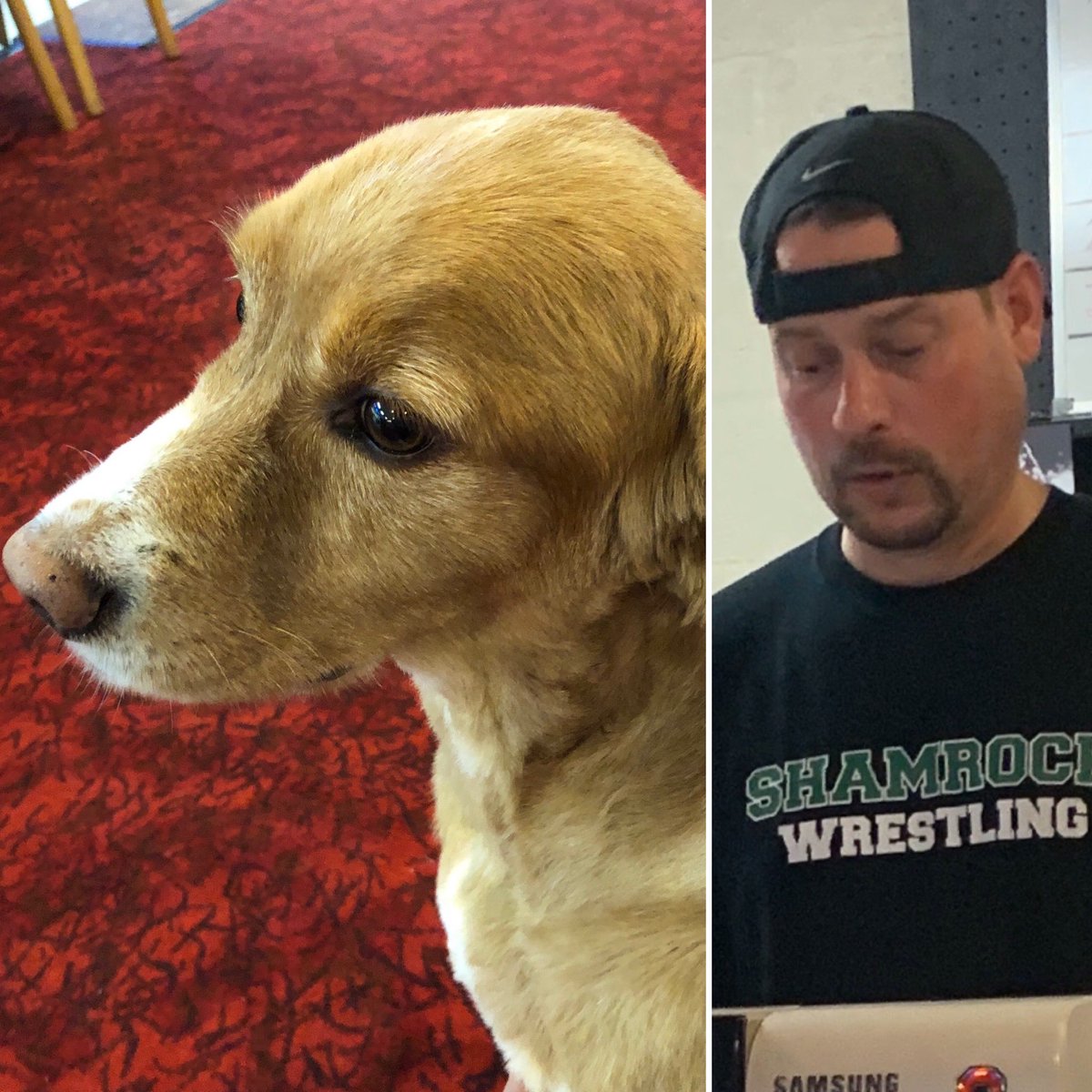 MattHissom's tweet photo. When visiting @chestnut_lanes, whose company do you enjoy more? Retweet for Bullet. Like for @ajcorder94 https://t.co/yPL1lGn4Gc
