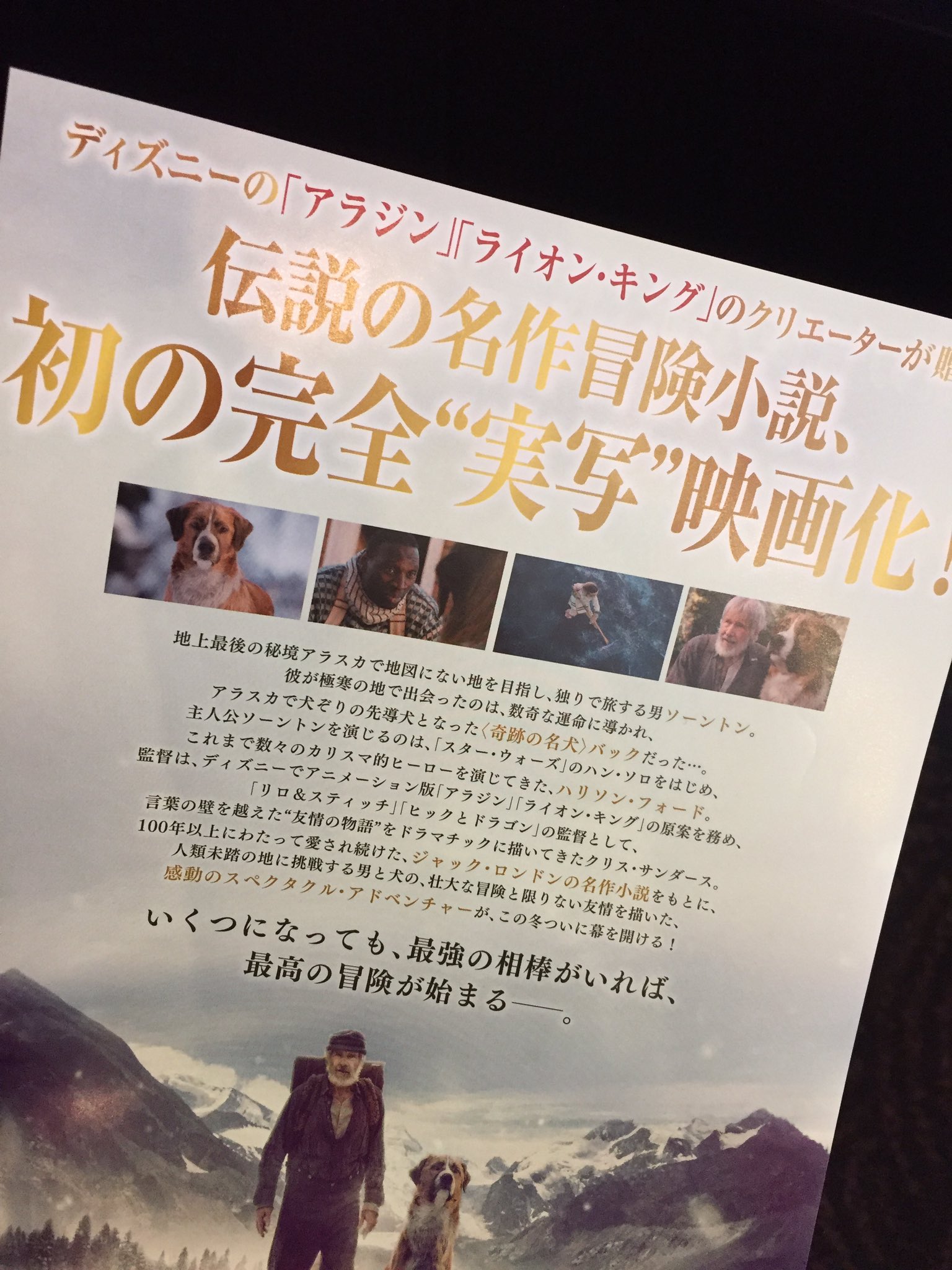 Aki Lettherogueonein ドリームワークスアニメ ヒックとドラゴン クルードさんちのはじめての冒険 クリス サンダース監督による世紀fox製作作品でも ディズニーの アラジン ライオン キング のクリエーターが贈る 実写 映画化 と宣伝