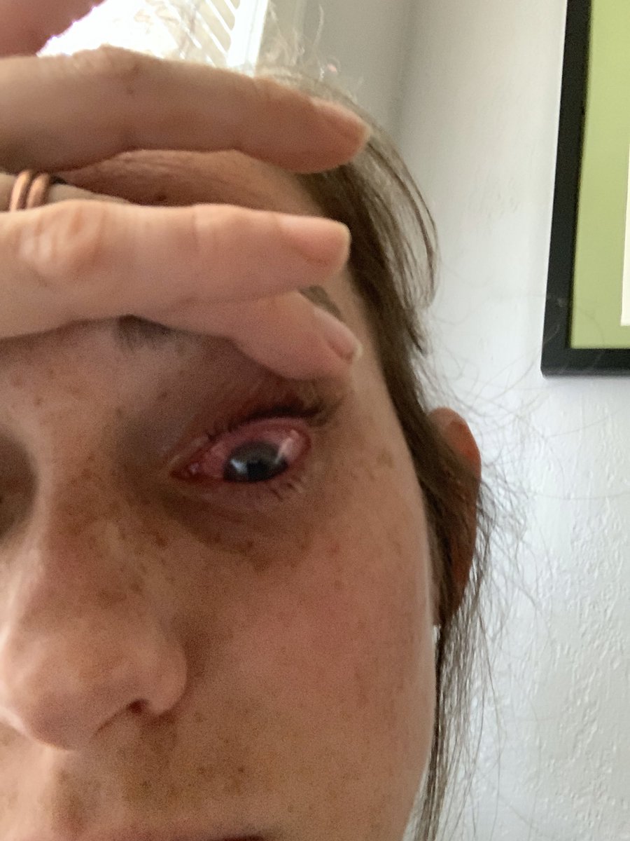 thealliebryan's tweet photo. My skill set includes eating tacos and hurting myself https://t.co/W3ToCR6R5E