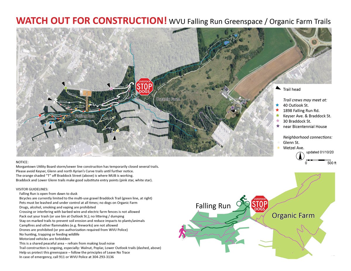 FallingRunGreenspace tweet media
