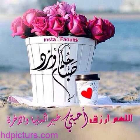 Lall (<a href="/Lall06010213/">Lall</a>) Tweeted:
 (x.com/Lall06010213/s…)