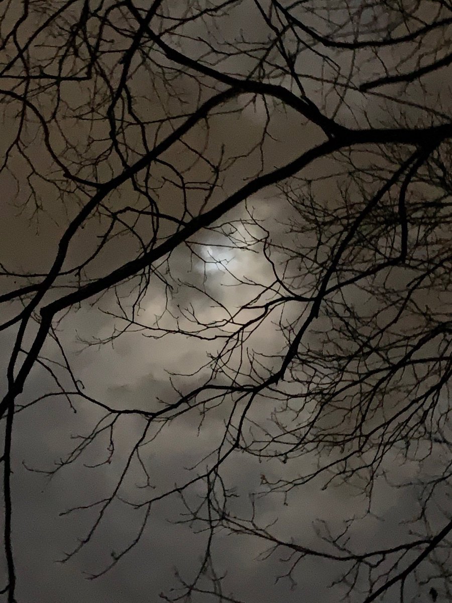 sokamoto's tweet photo. Good night, Columbus! The moon is clearly visible; a few minutes later, hidden by clouds. #ColumbusGA #afterthestorm #moonvisible #moonbehindclouds #moonobsession https://t.co/5OfAfAjqap