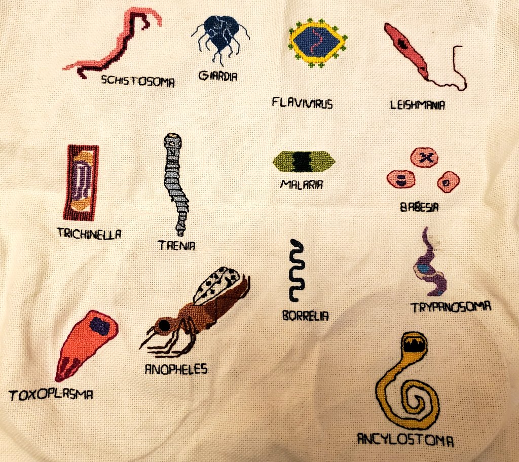 Staci Dreyer-Larson Ph.D. 🐀 tweet media